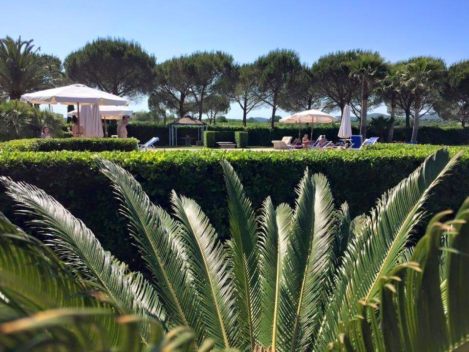 Agriturismo Cannavota フォッローニカ エクステリア 写真